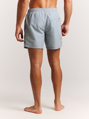 PROTEST Board Shorts 'PRTMarama' in Blue
