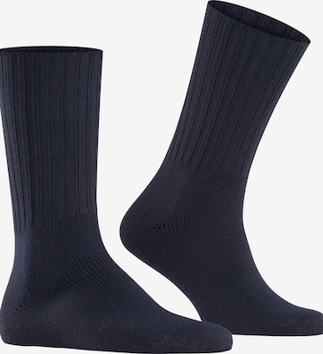 FALKE Socks 'Nelson' in Blue: front