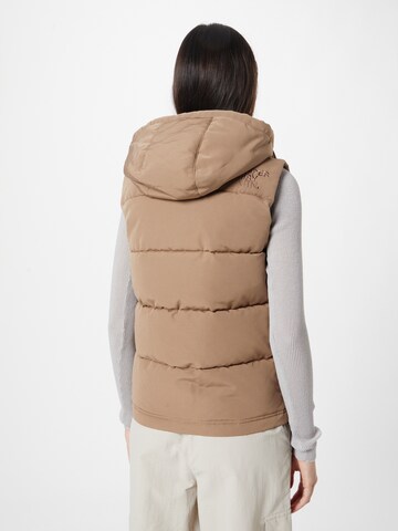 Superdry Bodywarmer 'EVEREST' in Bruin