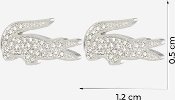 LACOSTE Earrings in Silver