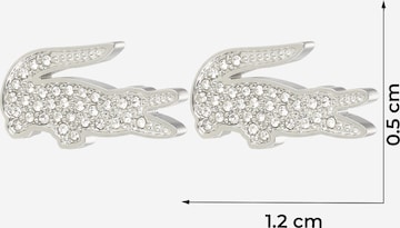 Boucles d'oreilles LACOSTE en argent