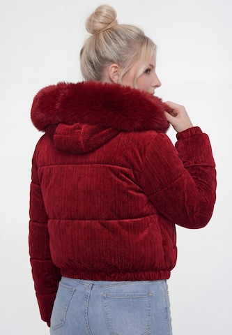Veste d’hiver 'At Night' CHUBBA en rouge