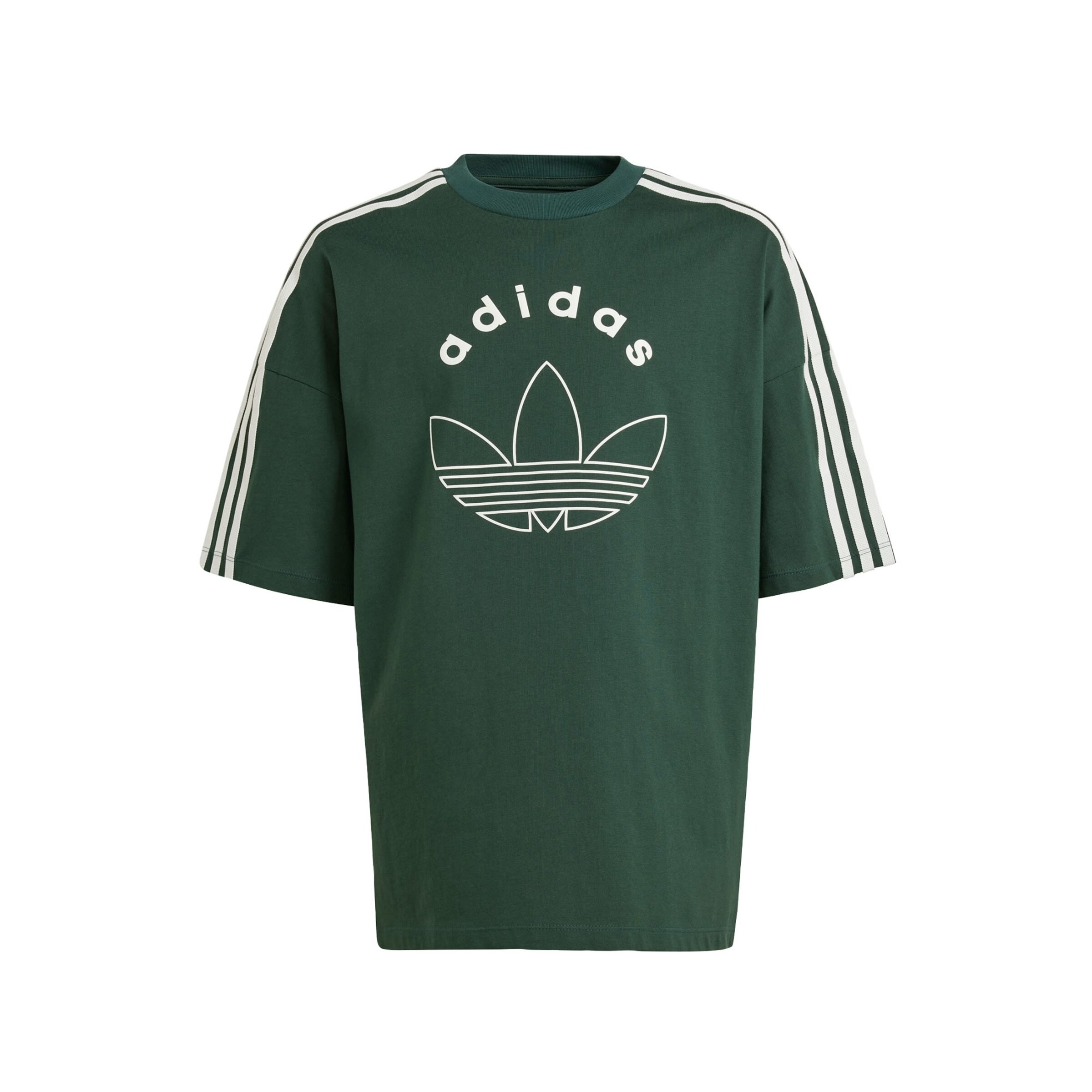 Maglietta di ADIDAS ORIGINALS in verde: frontale