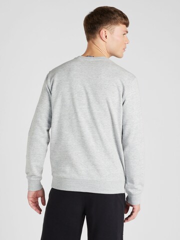 Champion Authentic Athletic Apparel Sweatshirt i grå