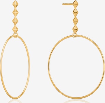 ANIA HAIE Earrings in Gold: front