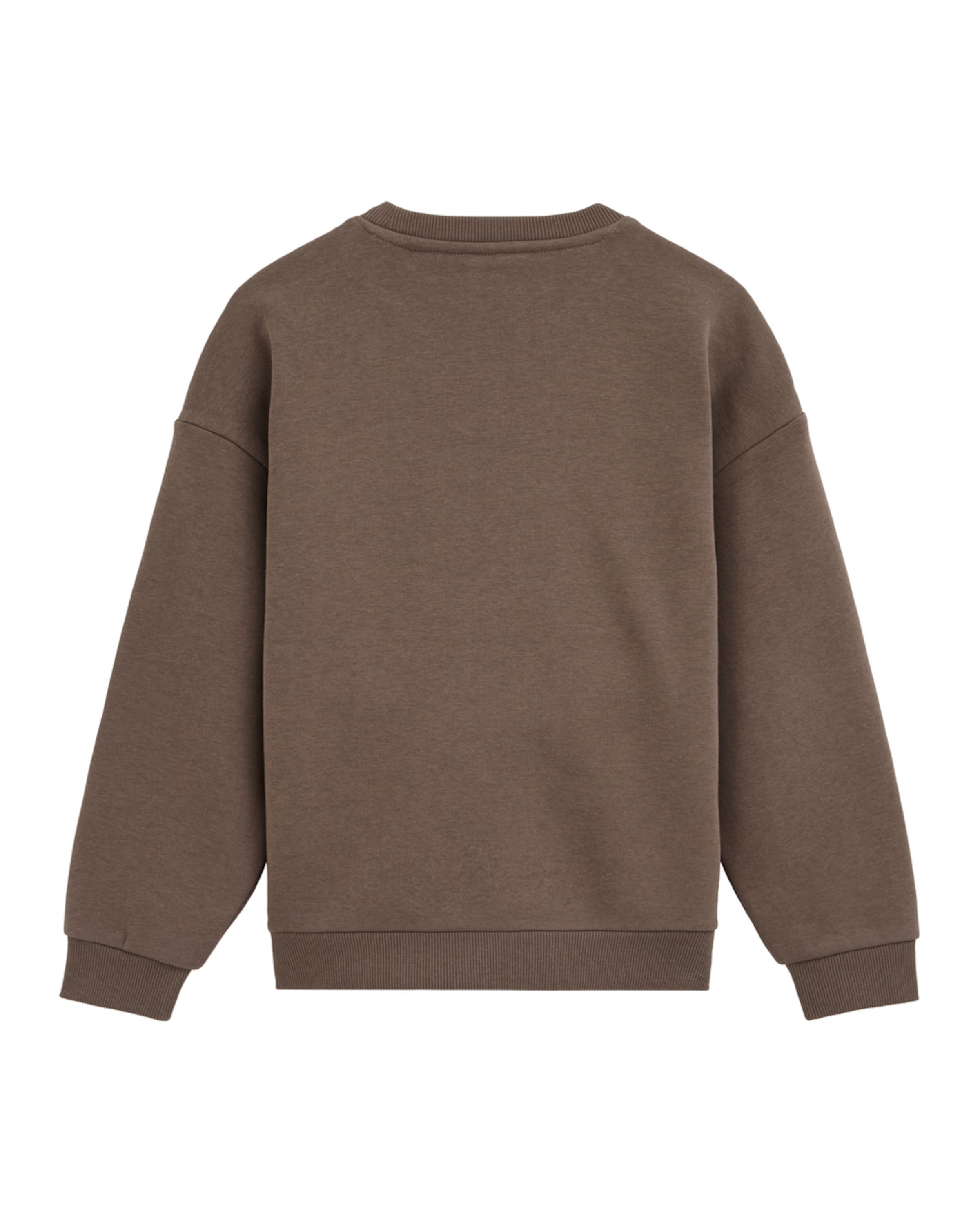WE Fashion Sweatshirt i grå