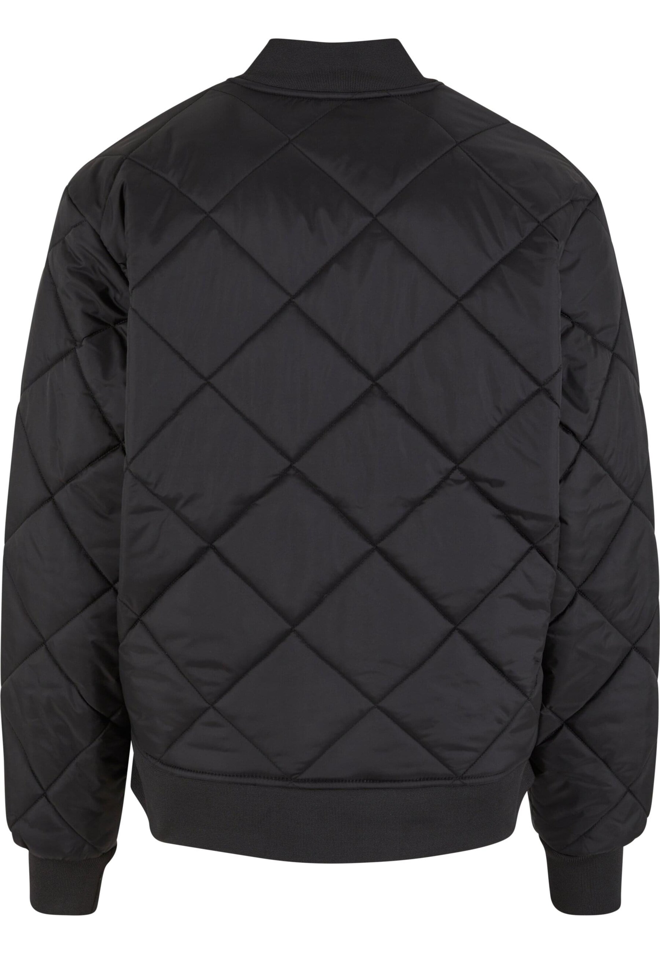 DICKIES Between-Season Jacket in Black