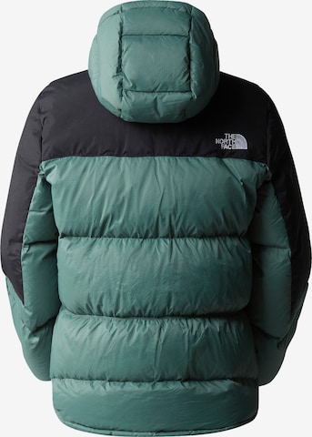 THE NORTH FACE Outdoor Jacket in Green