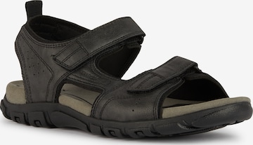 GEOX Sandals in Black: front