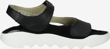 Softinos Sandals in Black