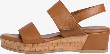 TAMARIS Sandals in Brown