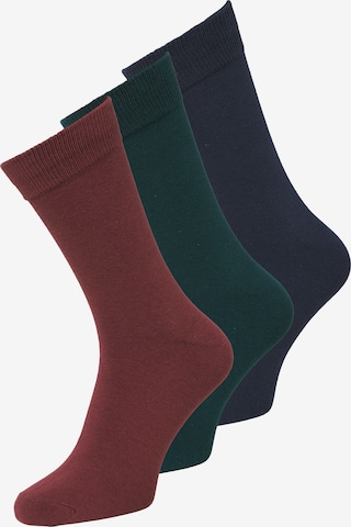 JACK & JONES Socks 'JACRAFAEL' in Blue: front