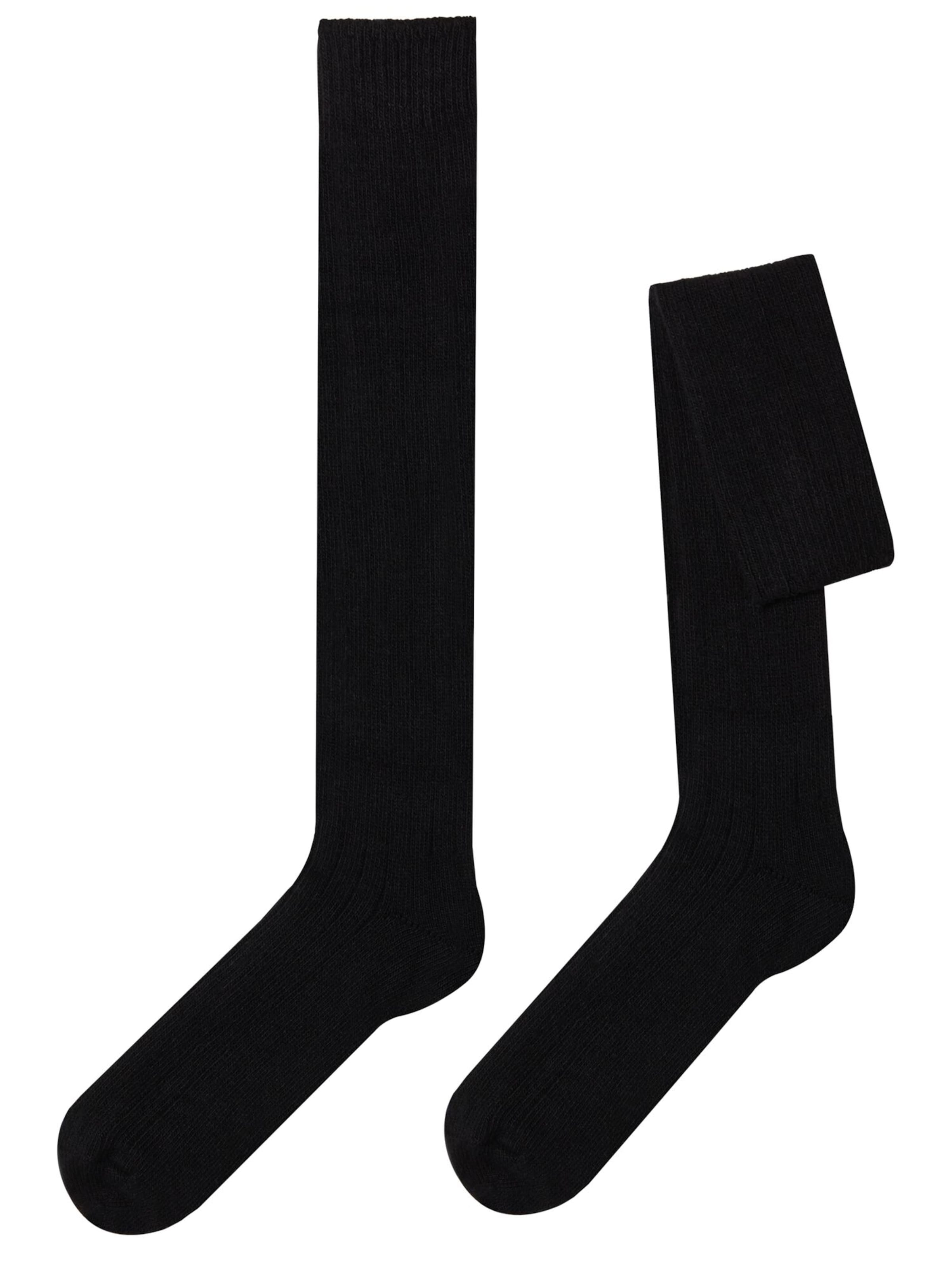 CALZEDONIA Kniestrümpfe in Schwarz: Vorderseite