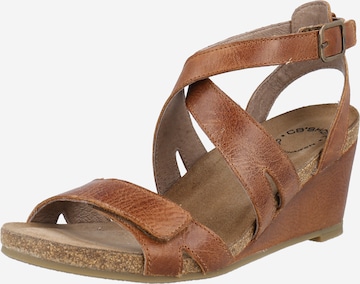 Ca'Shott Sandals in Brown: front