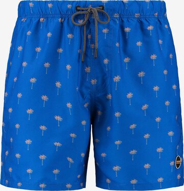 Shorts de bain Shiwi en bleu : devant