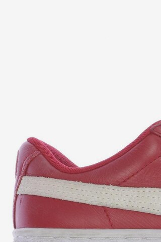PUMA Sneakers & Trainers in 37 in Red