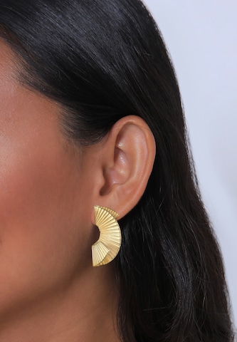 ELLI PREMIUM Earrings 'Organic' in Gold: front