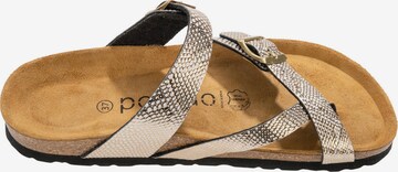 Palado Mules in Gold