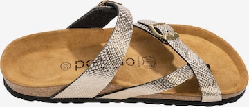Palado Mules in Gold