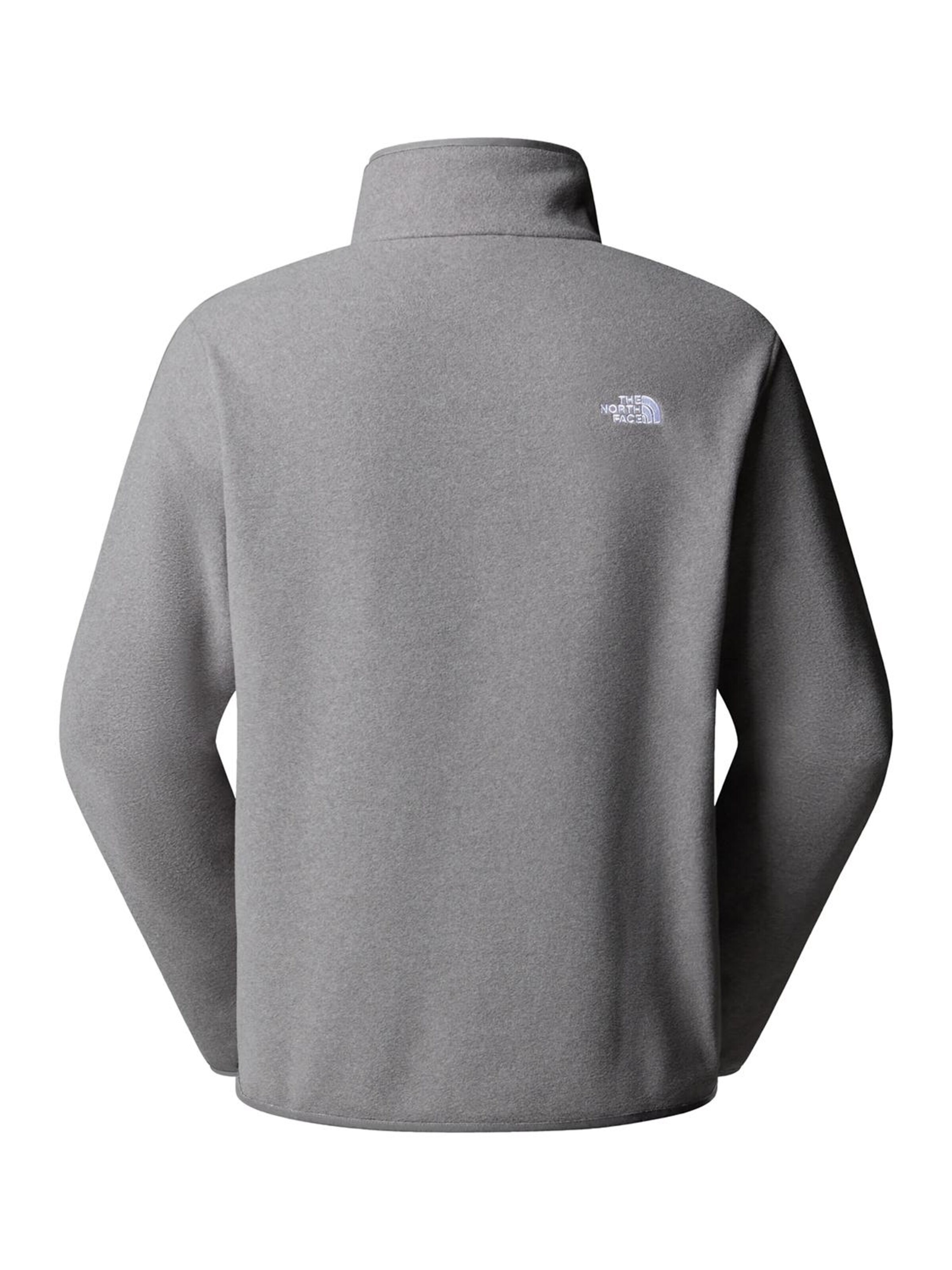THE NORTH FACE Sweatshirt 'Glacier' in Grey