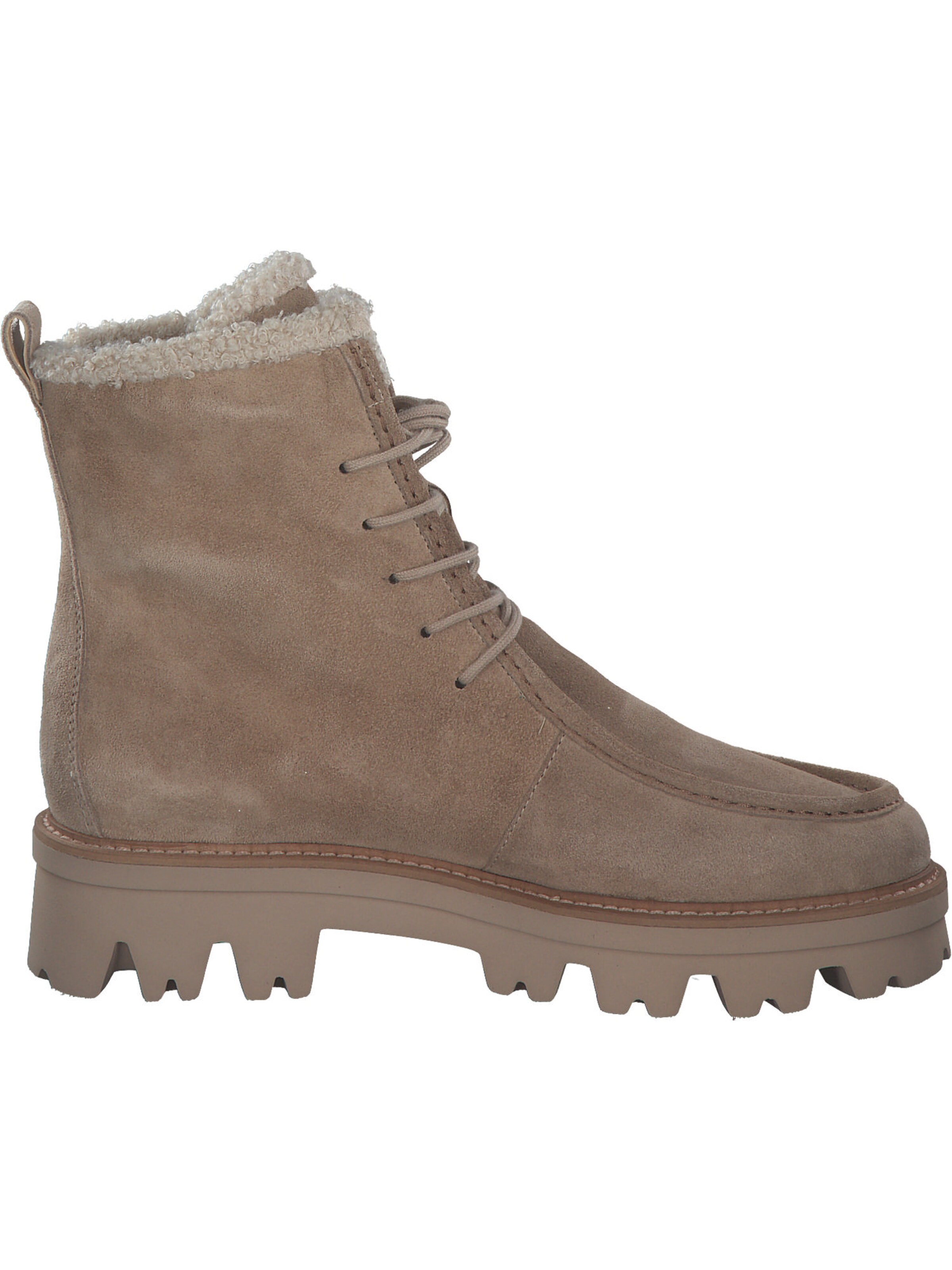 Paul Green Schnürstiefelette in Beige