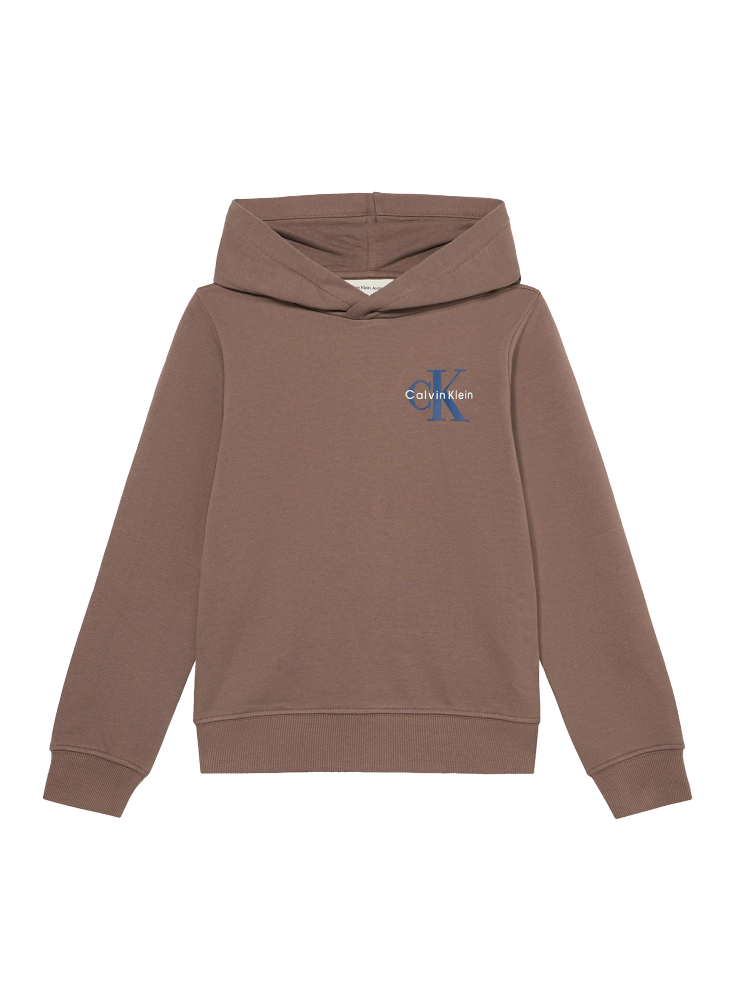 Calvin Klein Jeans - Sudadera en gris: frente