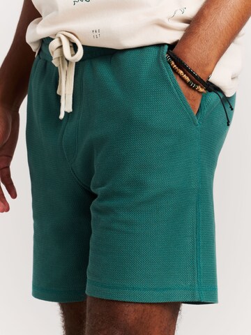 PROTEST Regular Pants 'PRTGraig' in Green