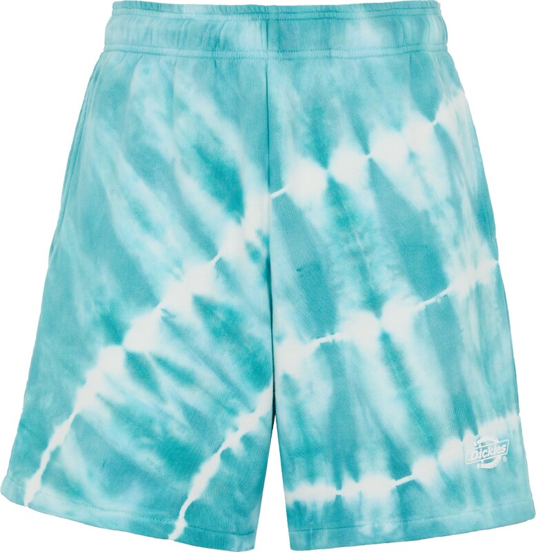 DICKIES Regular Shorts in Hellblau DICKIES Regular Shorts in Hellblau