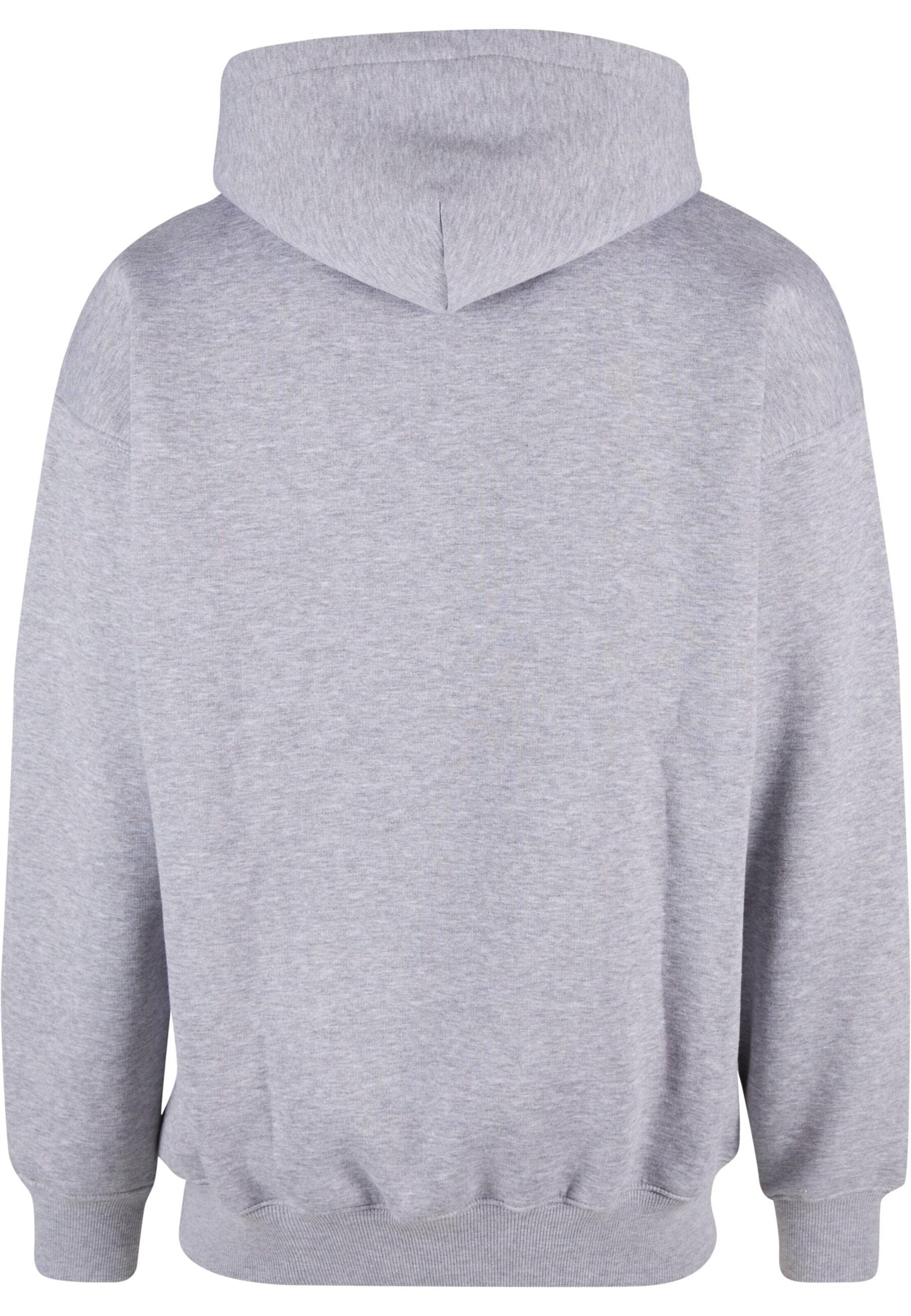 HOMEBOY Sweatshirt 'Pencil' in Grey