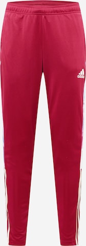 ADIDAS SPORTSWEAR Regular Workout Pants 'Tiro' in Red: front