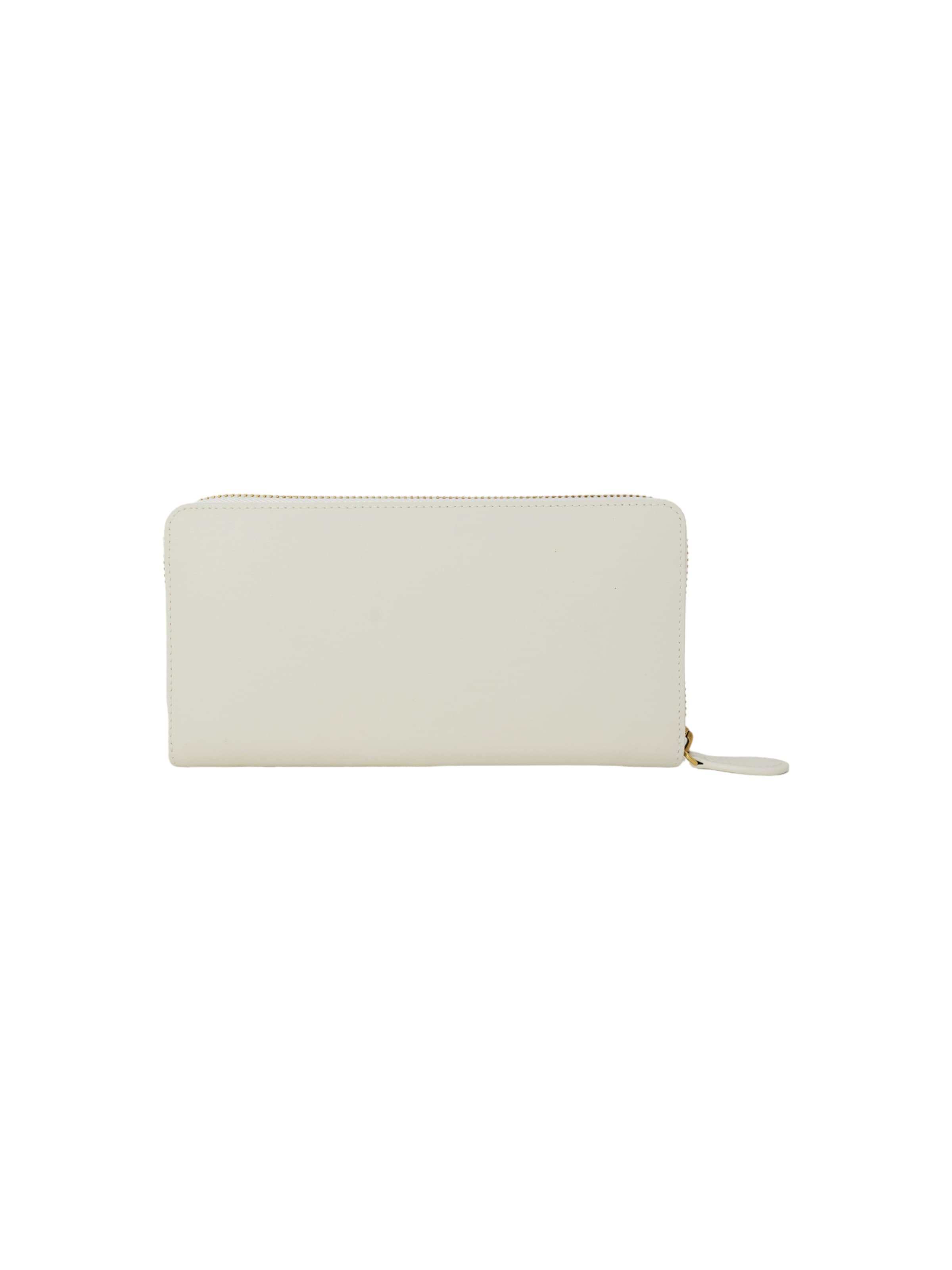 PINKO - Cartera 'RYDER ZIP AROUND VITELLO SETA 100250 A0F1' en beige
