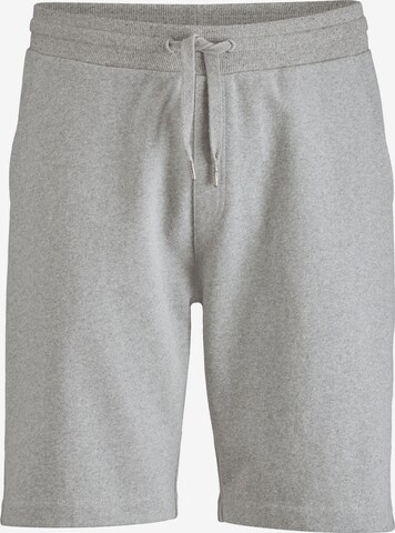 hessnatur Pants in Grey: front
