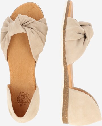 Apple of Eden Ballerina 'Chelsea' in Beige