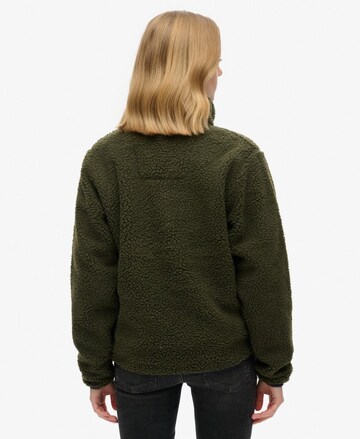 Superdry Trui in Groen