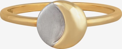 caï Ring in gold / silber, Produktansicht