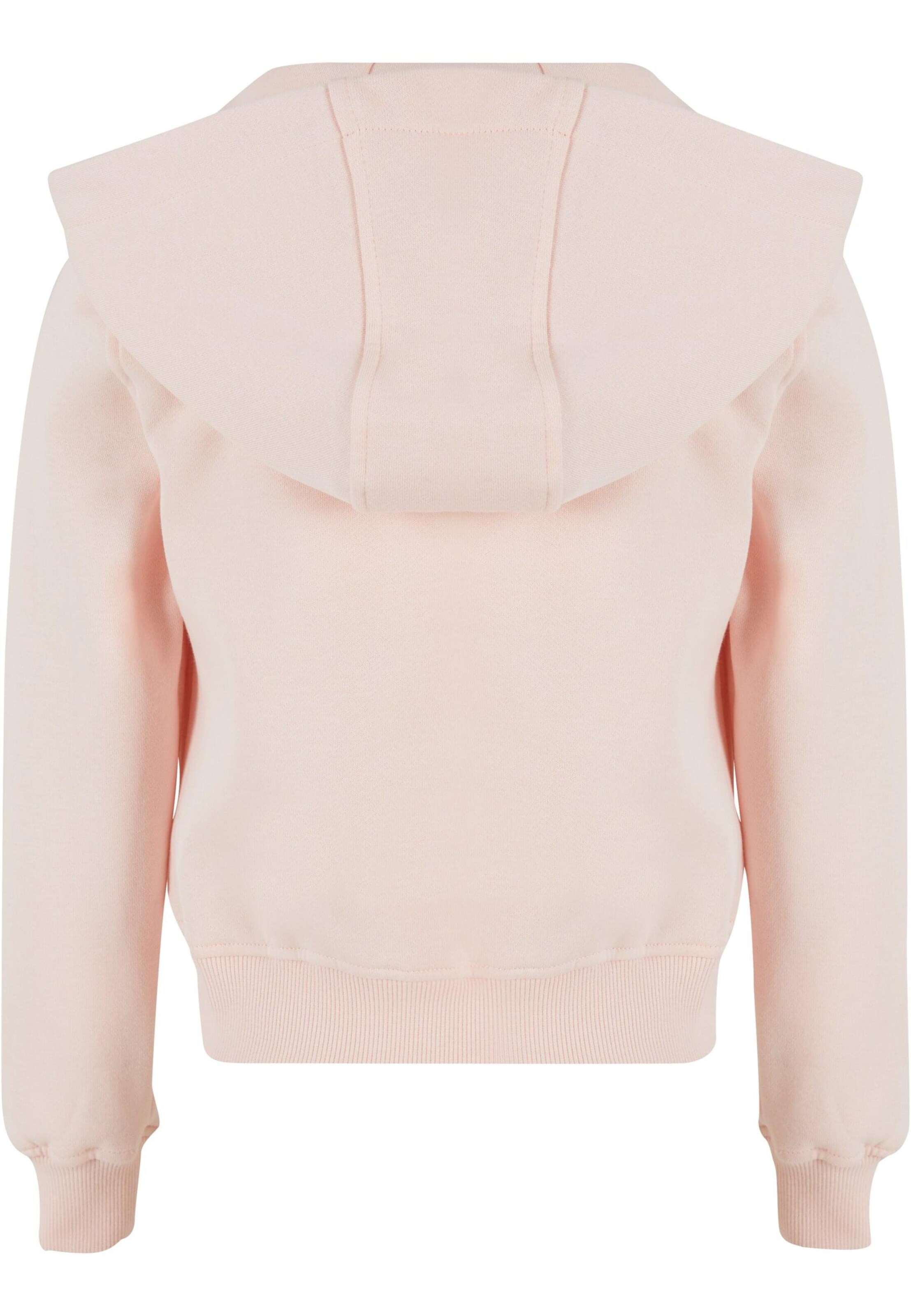 Mister Tee Sweatshirt 'Ice Cream' in Pink
