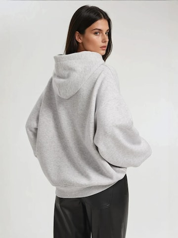 Hiccup Sweatshirt in Grau