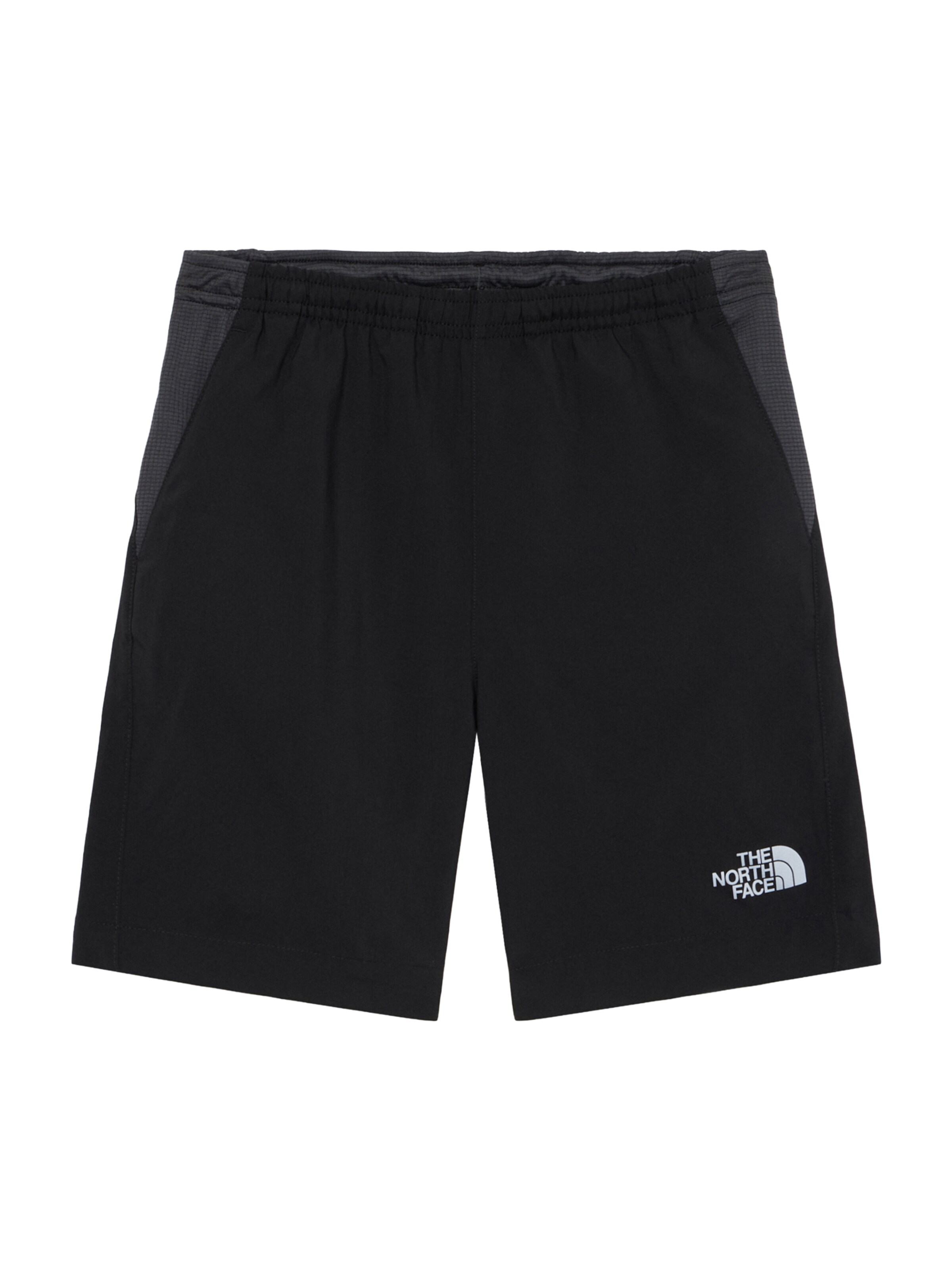 Regular Pantalon de sport '24/7' THE NORTH FACE en noir : devant