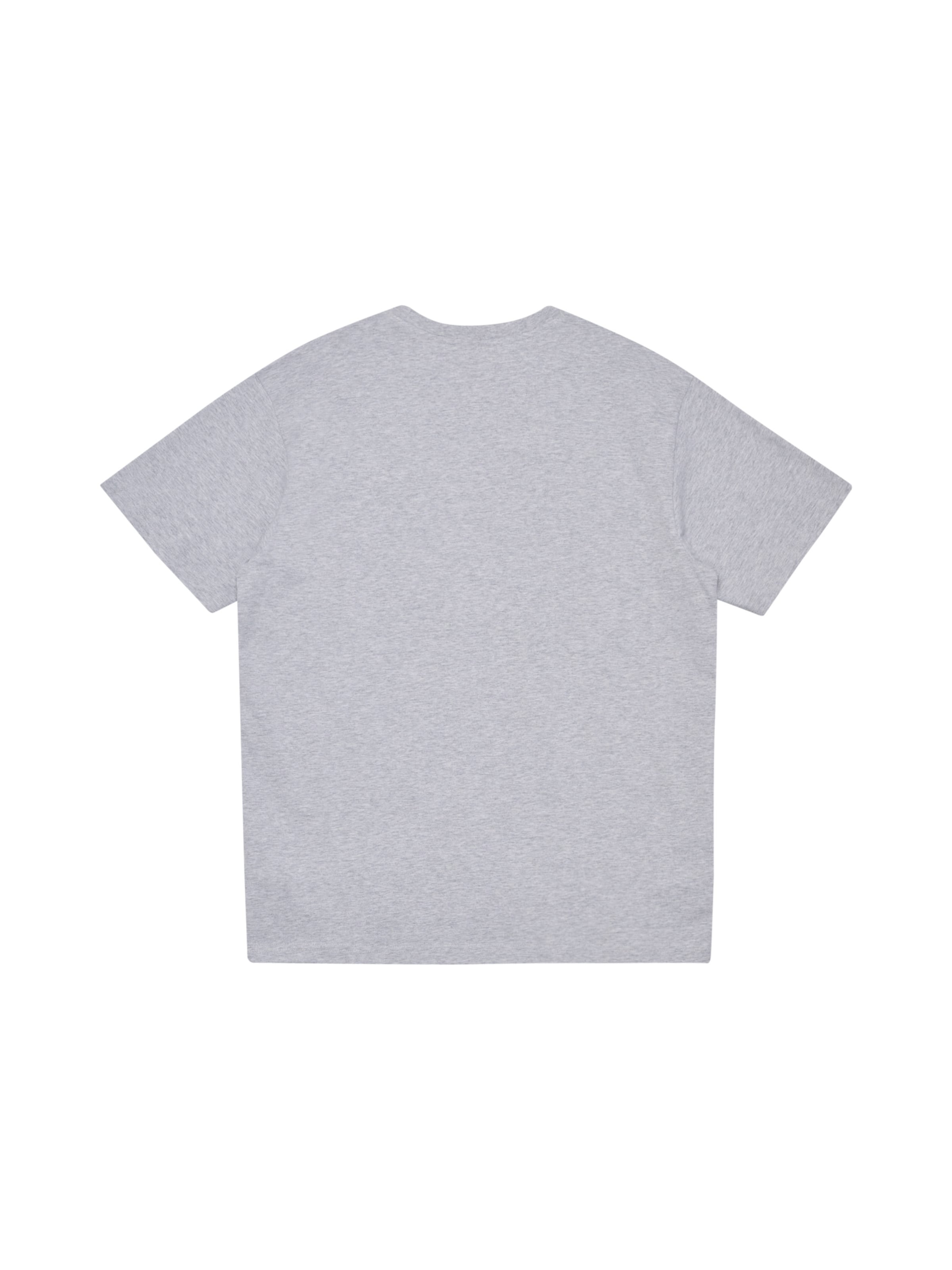 HALO Shirt in Grijs