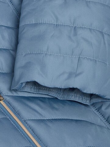 Goldner Winterjacke in Blau