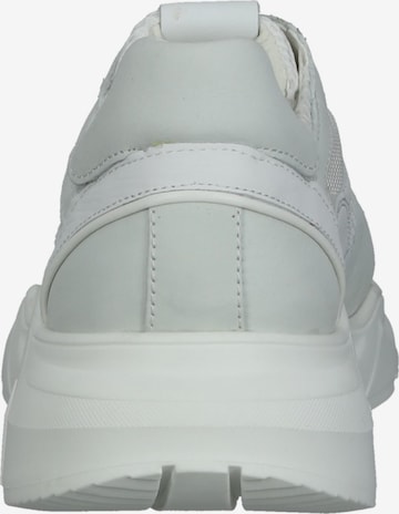 Sneaker bassa di BRAX in bianco