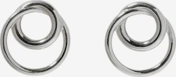 Stilnest Oorbellen in Zilver: voorkant