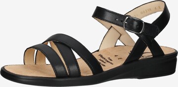 Ganter Sandalen met riem in Zwart: voorkant