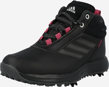 Chaussure de sport ADIDAS GOLF en noir : devant