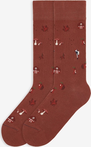 Von Jungfeld Socken 'Herbst Icons' in Rot: Vorderseite