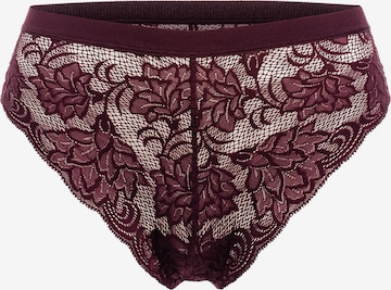 Erlich Textil Boyshorts 'Isabell' in Purple: front