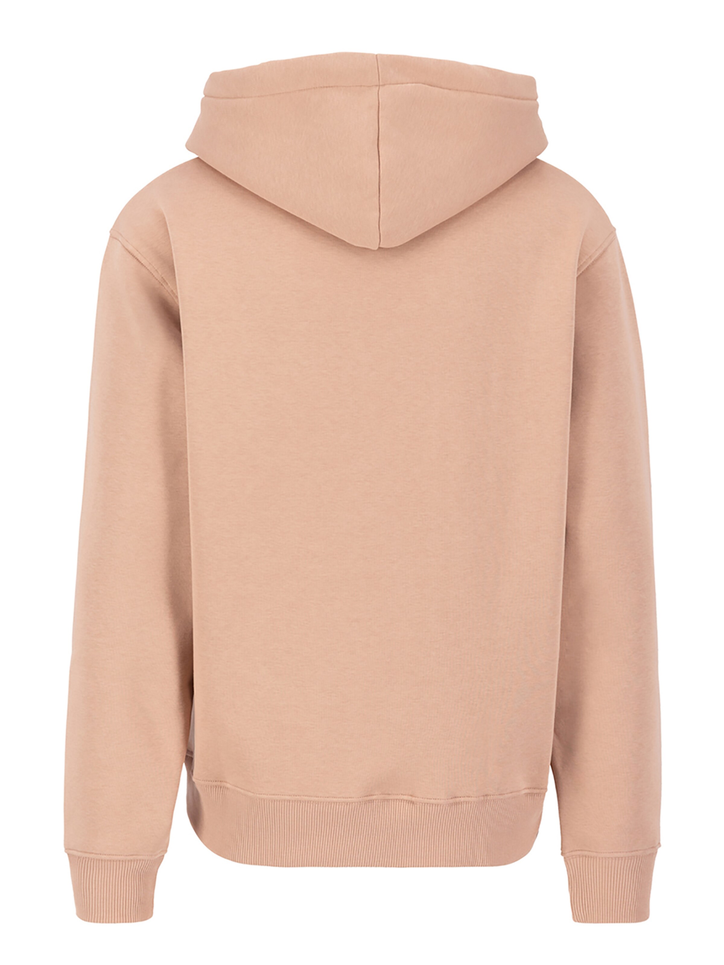 ALPHA INDUSTRIES Sweatshirt 'Basic' in Orange