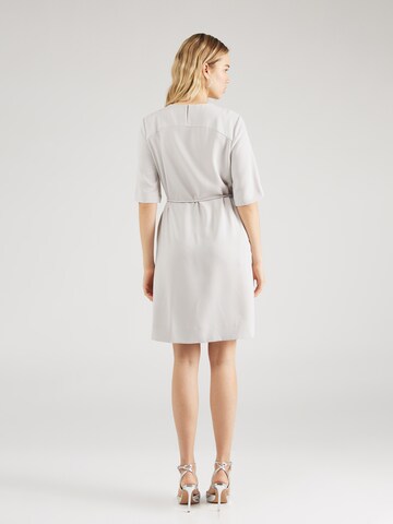 Calvin Klein Kleid in Grau