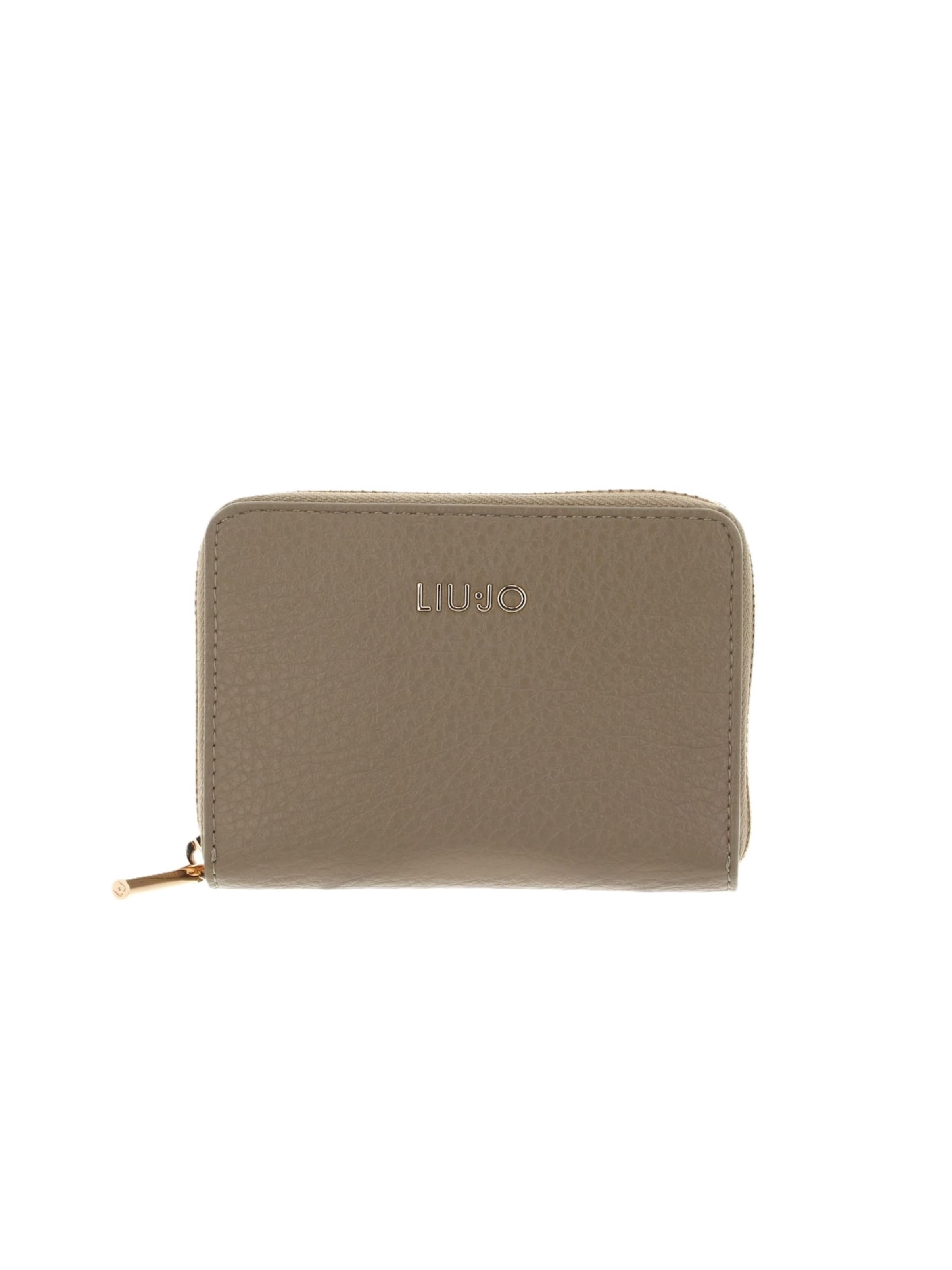 Liu Jo Wallet 'AA6156 E1109' in Brown: front