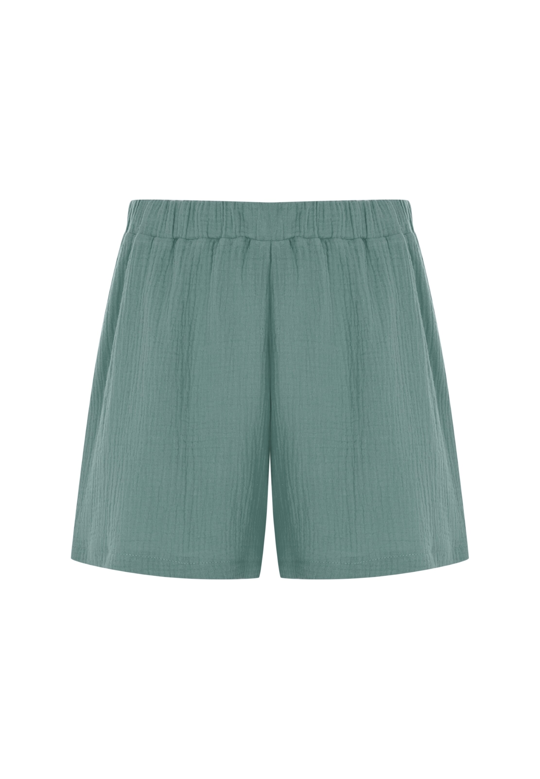 FRESHLIONS Broek in Groen: voorkant